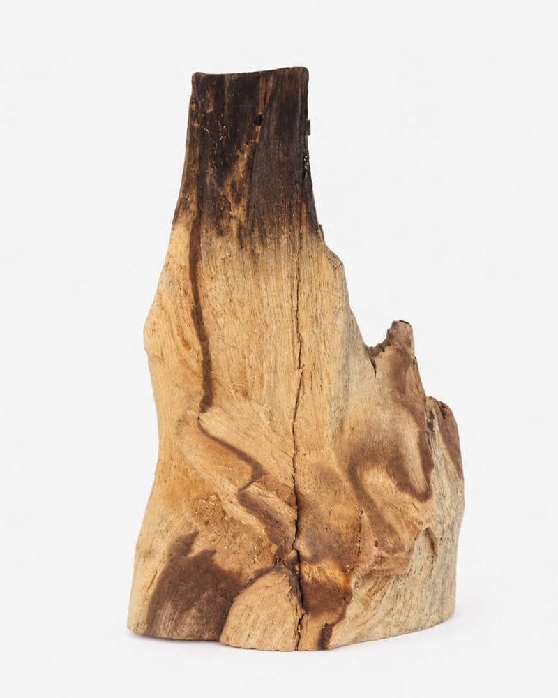 Hand-picked Palo Santo wood piece, partially burned with a charred tip, showing natural sculptural shape and rich wood grain.